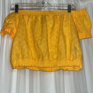 NWOT H&M Embroidered Crop Top